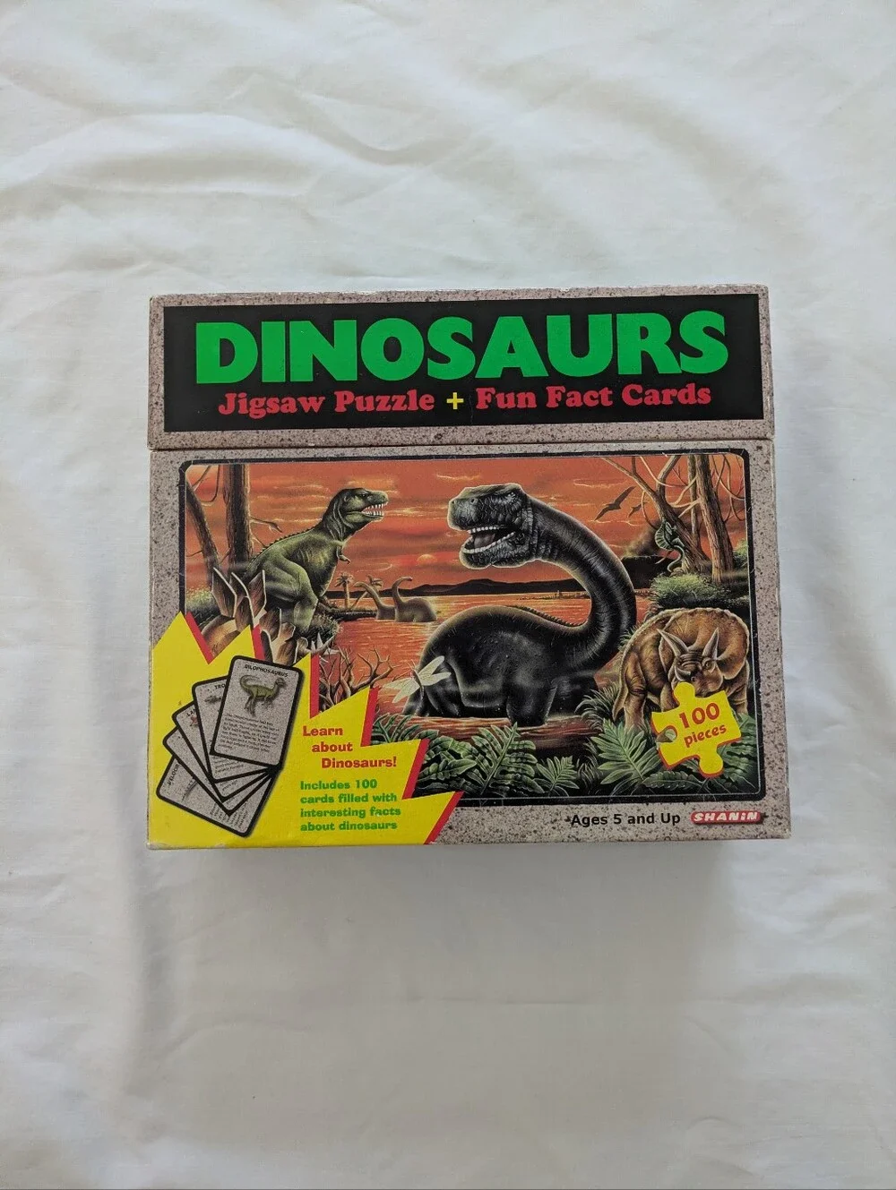 Land Of The Dinosaurs Jigsaw Puzzle + Fun Fact Cards
